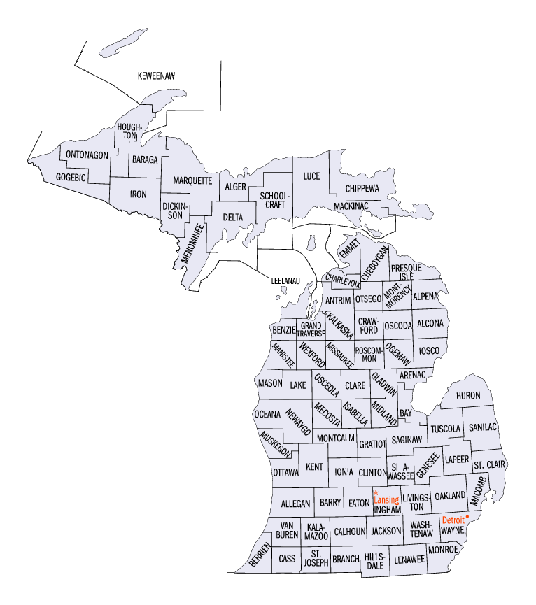 Michigan Intestate Succession Chart
